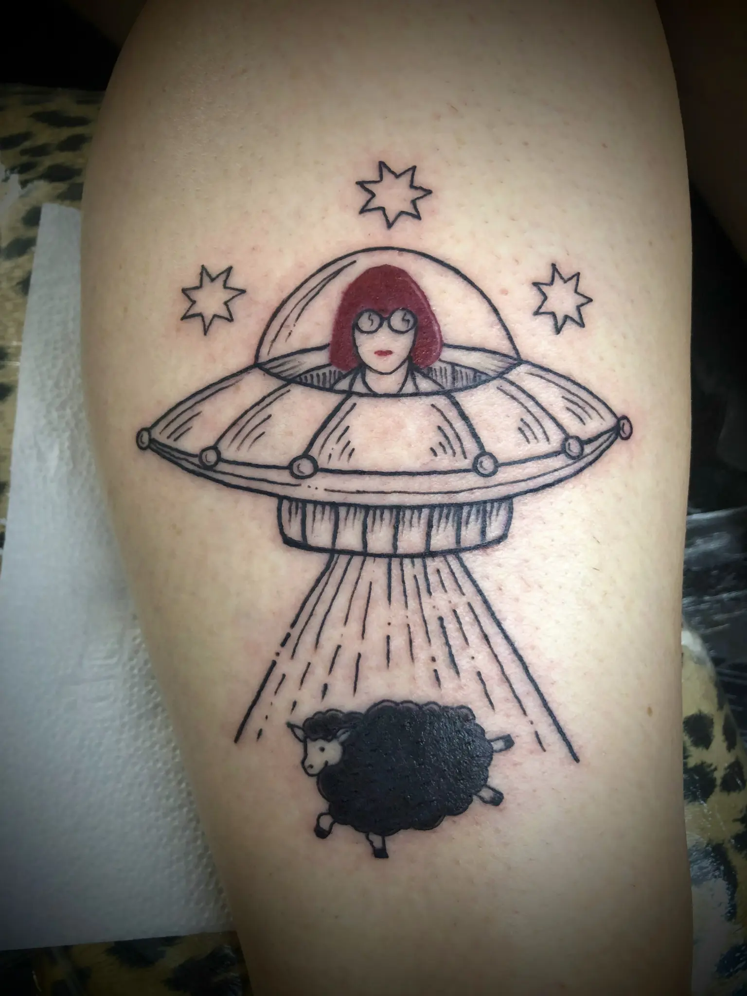 Tatuagem de casa de pássaros